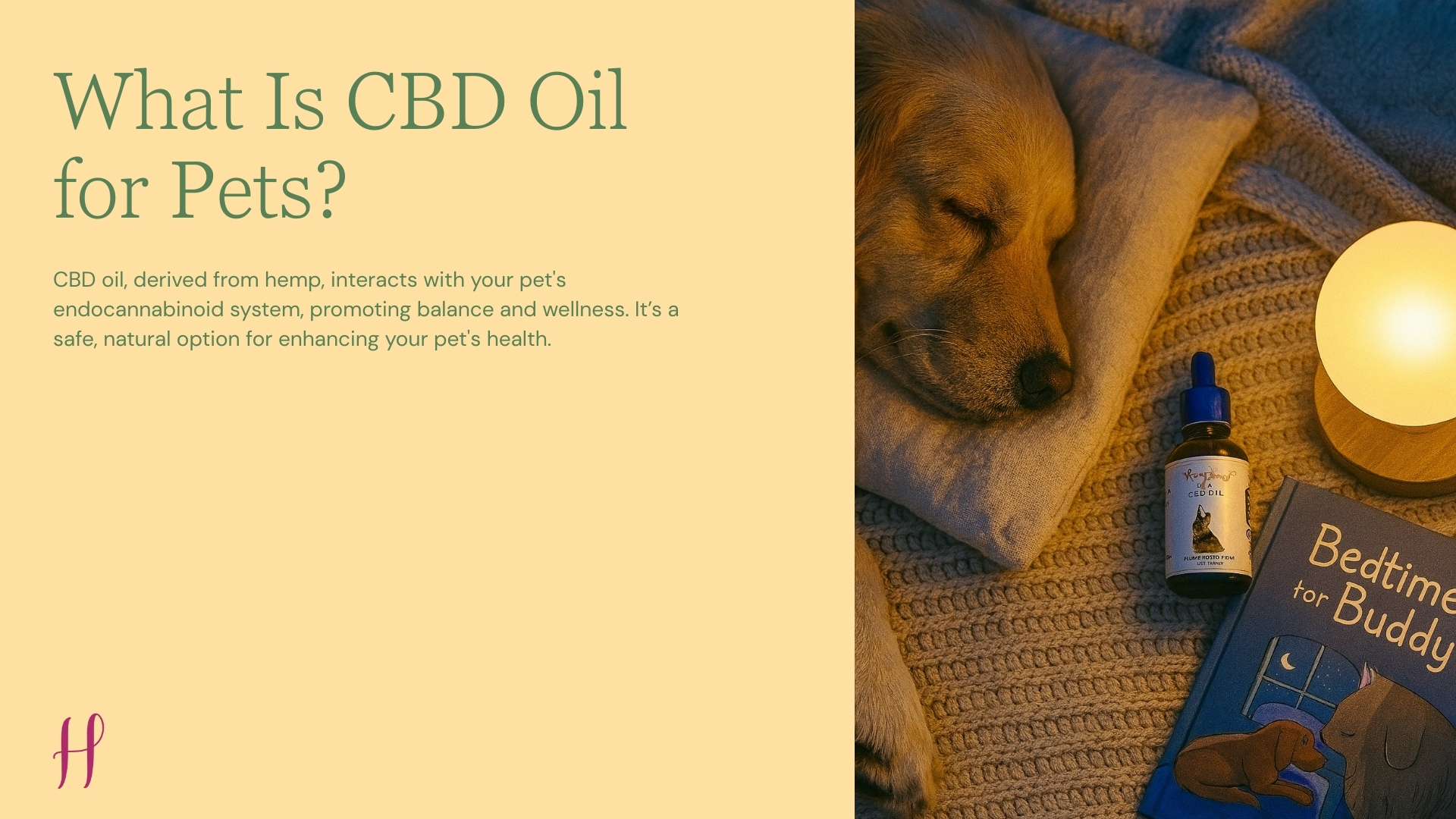 Sleeping dog beside CBD oil bottle and lamp explaining what CBD oil is for pets.